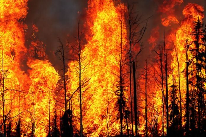 wildfire canada quebec 2023 risques changements climatiques